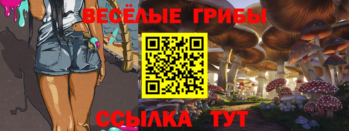 Псилоцибиновые грибы Cubensis  Вход с VPN  Ижевск 